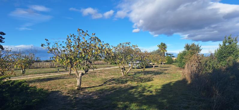 Aire camping-car  Saint-Laurent-d'Aigouze (30220) - Photo 9